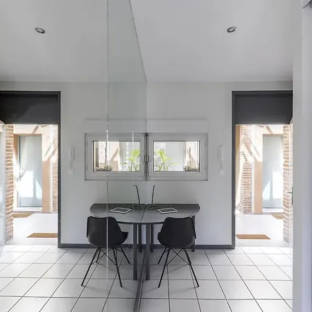 Superbe Duplex Dans Chartreuse アパート トゥールーズ