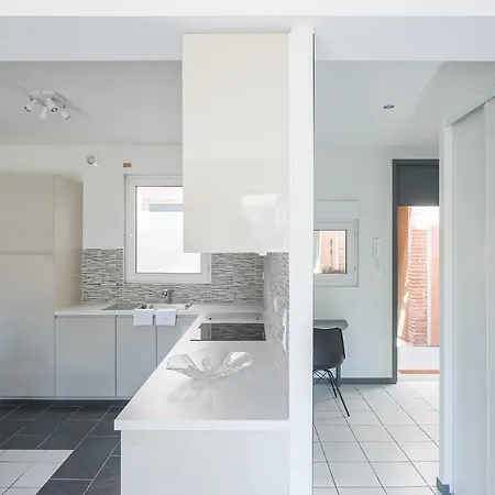 Superbe Duplex Dans Chartreuse Apartment